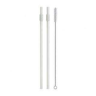 One Tumbler - straws and cleaning brush