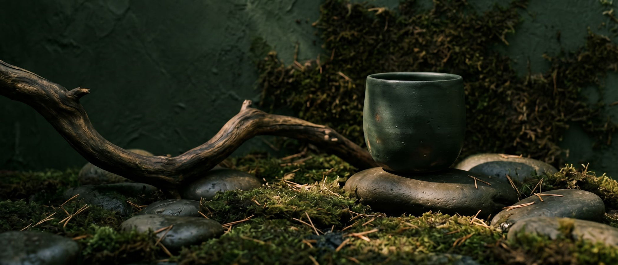 Dark Forest